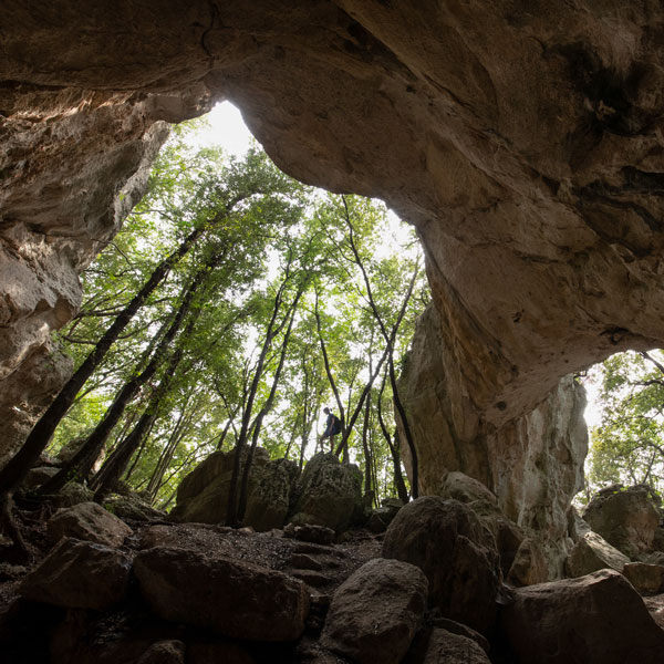 La Grotta Pollera è una delle più importanti cavità carsiche con deposito archeologico del Finalese. L’antro, assai scenografico e ampio, si apre in località Montesordo, sulla sinistra del Rio della Valle, a circa 300 metri di altitudine.