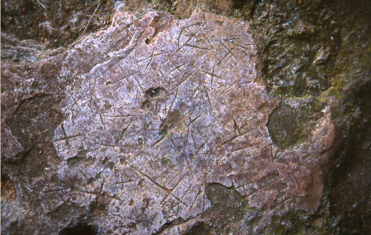 The Arma della Moretta is a small cave at the feet of the Finale stone San Bernardino mountain, just above the locality called “Tirassegno”. This archaeological site is unique in Finale and is considerably important in the field of cave etchings.